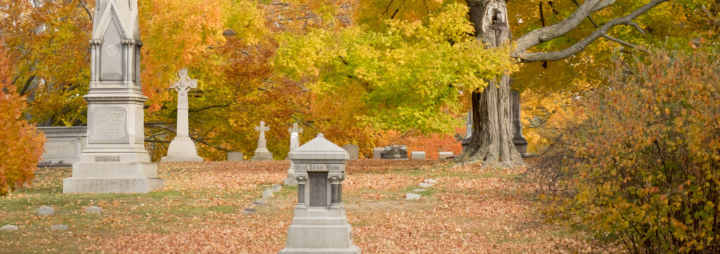 cedar hill fall foliage tour